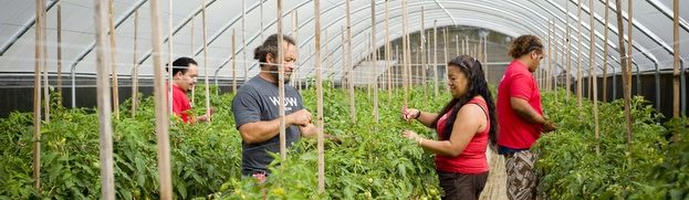 Hawaii Organization Farms Farmers and Drives Change