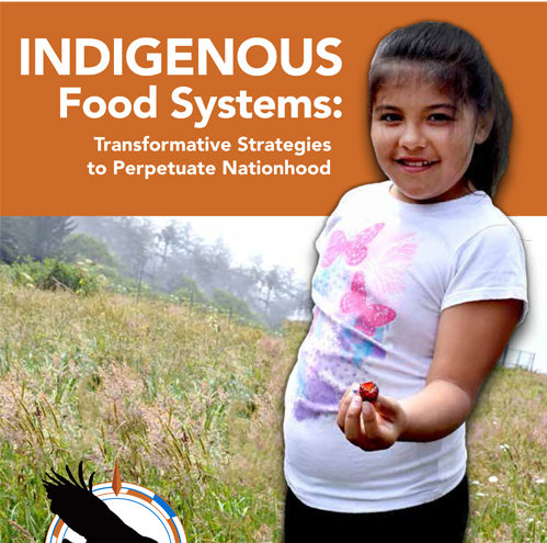 Indigenous Food Systems: Transformative Strategies to Perpetuate Nationhood