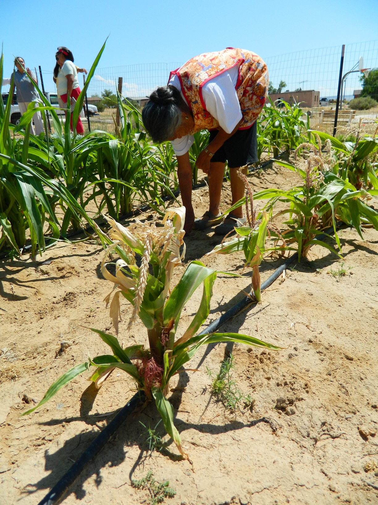 W.K. Kellogg Foundation – Food Sovereignty