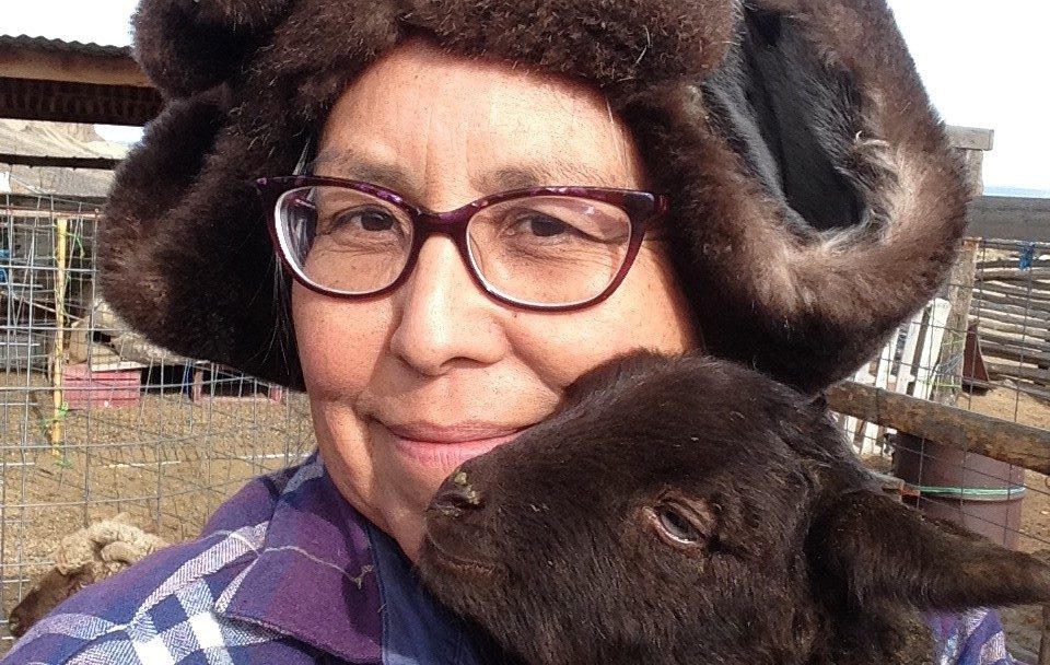 Training Brings an ‘Ah Ha’ for Sheep Grower