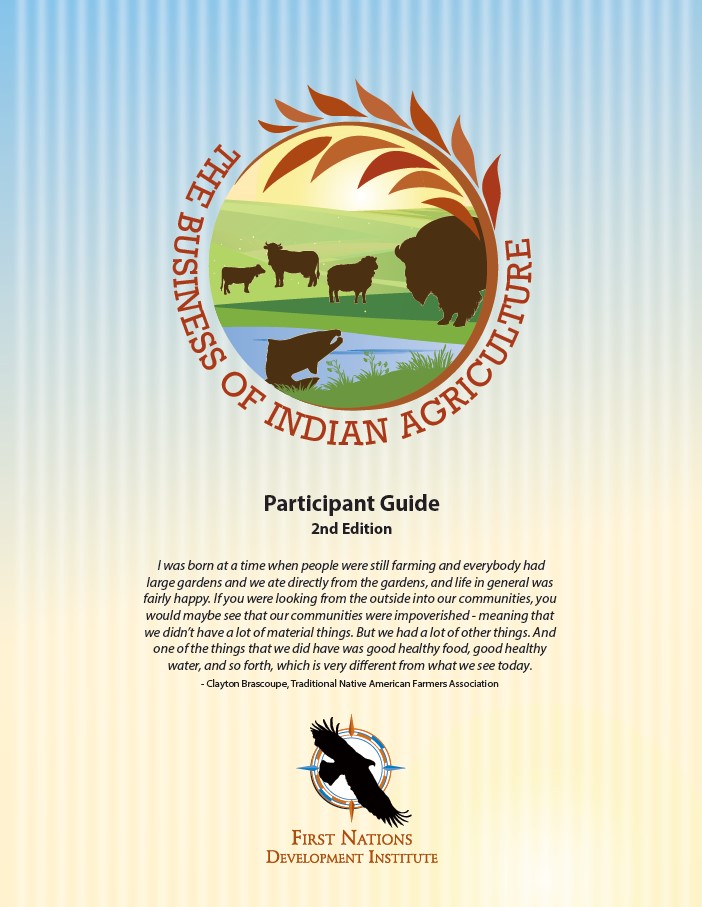 The Business of Indian Agriculture