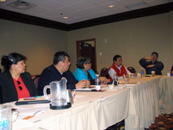 Native Asset-Building Partnership Project