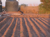 Colorado Plateau Food Systems Capacity Building Project