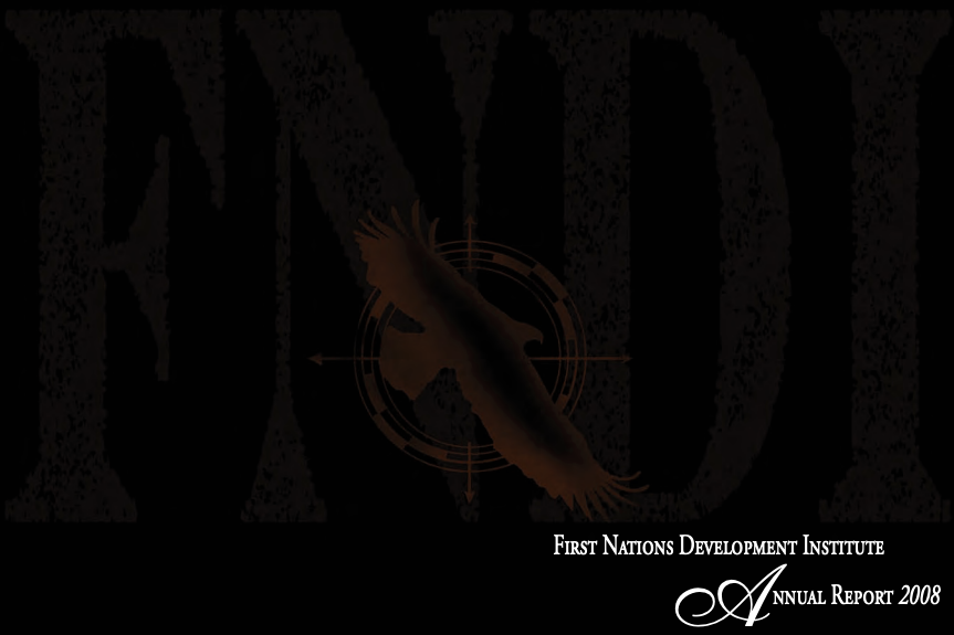 2008 Annual Report