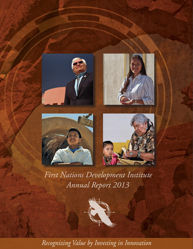 2013 Annual Report