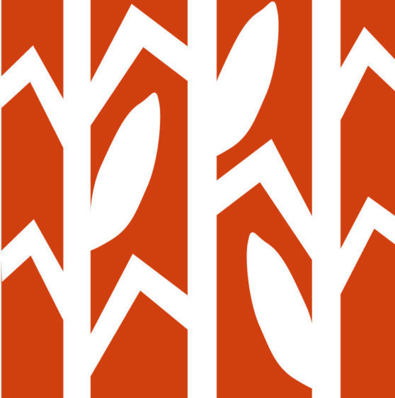 First Nations Awards 7 Changing Native Food Economies Awards to Native-led Organizations and Programs