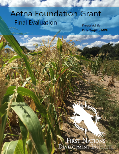 Aetna Foundation Grant Final Evaluation