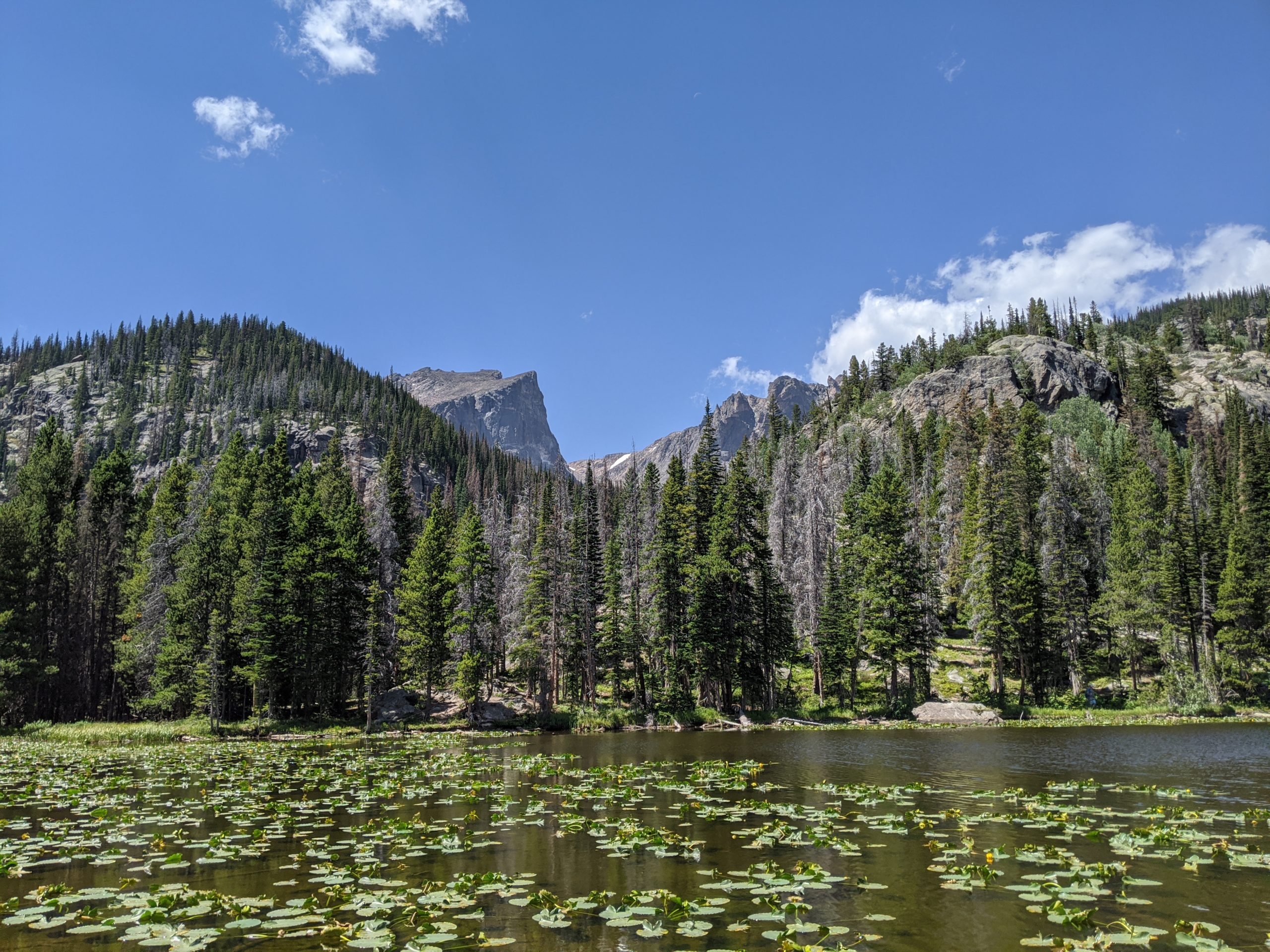 Community Forest & Open Space Conservation