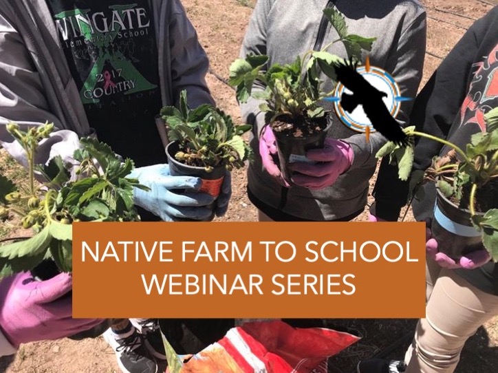 Native Farm to School Webinar Series