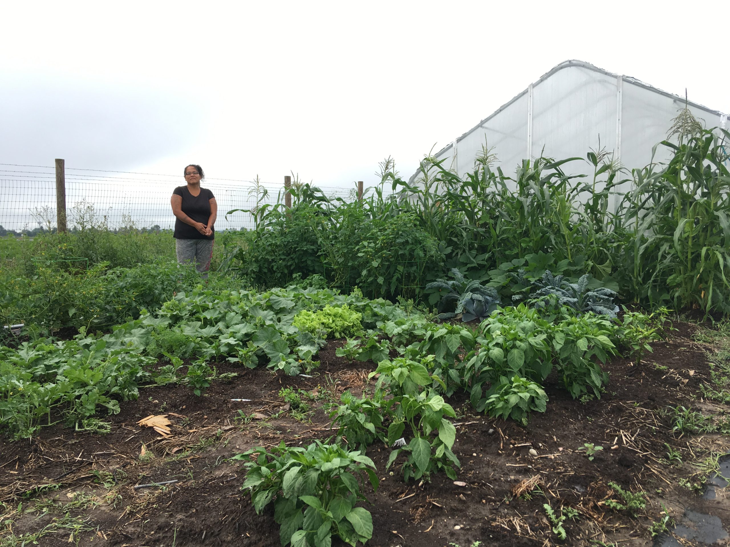 Checking in with the Sicangu Lakota Oyate