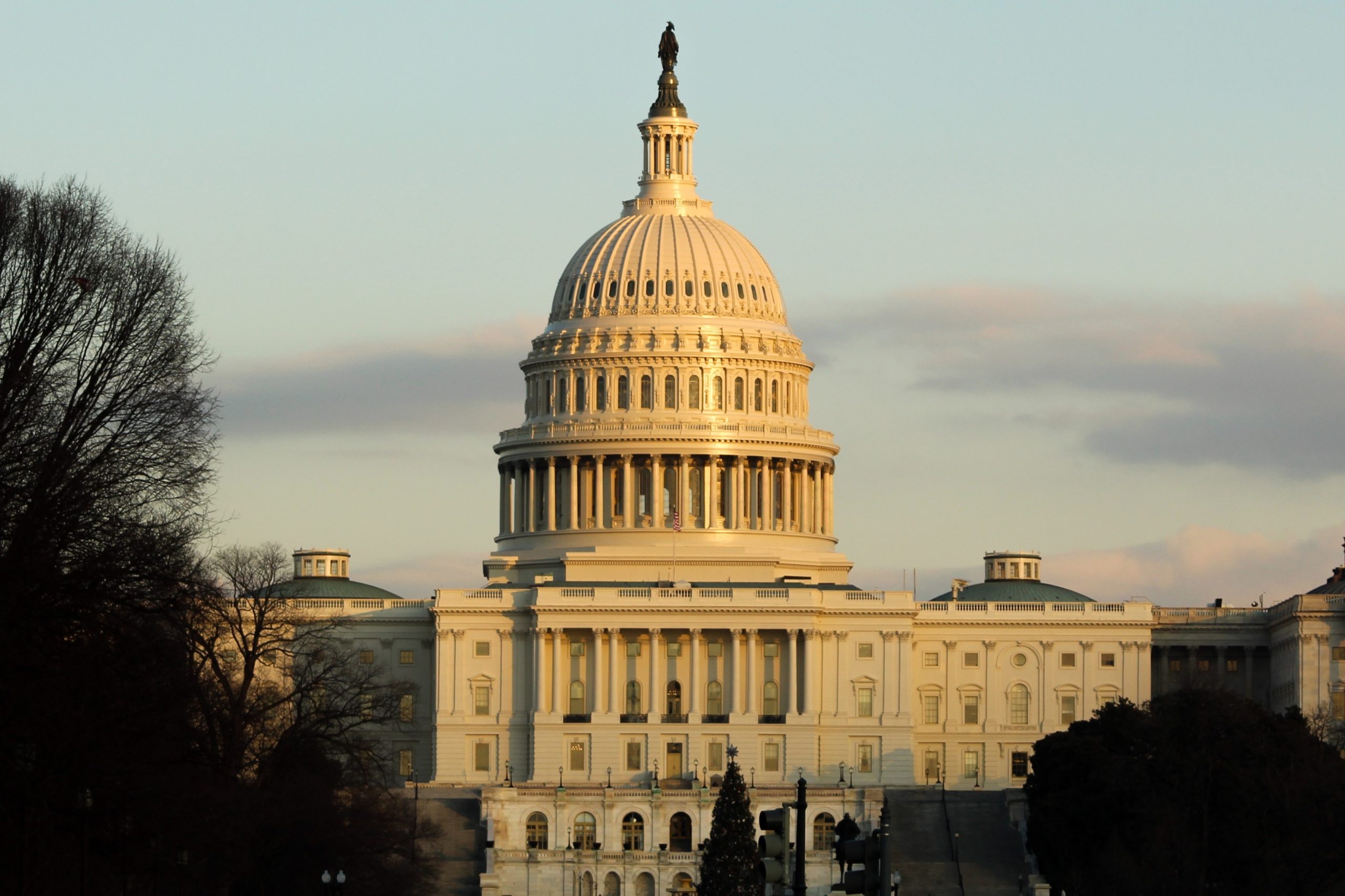In Response to the Assault on the U.S. Capitol