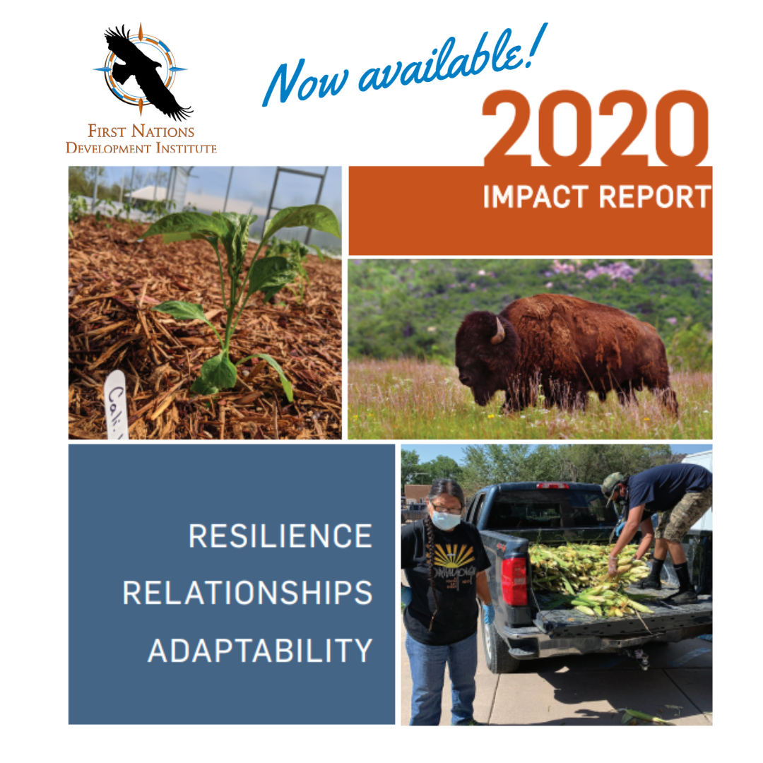 $6.5 Million in Grants Awarded to 427 Native Communities in 2020