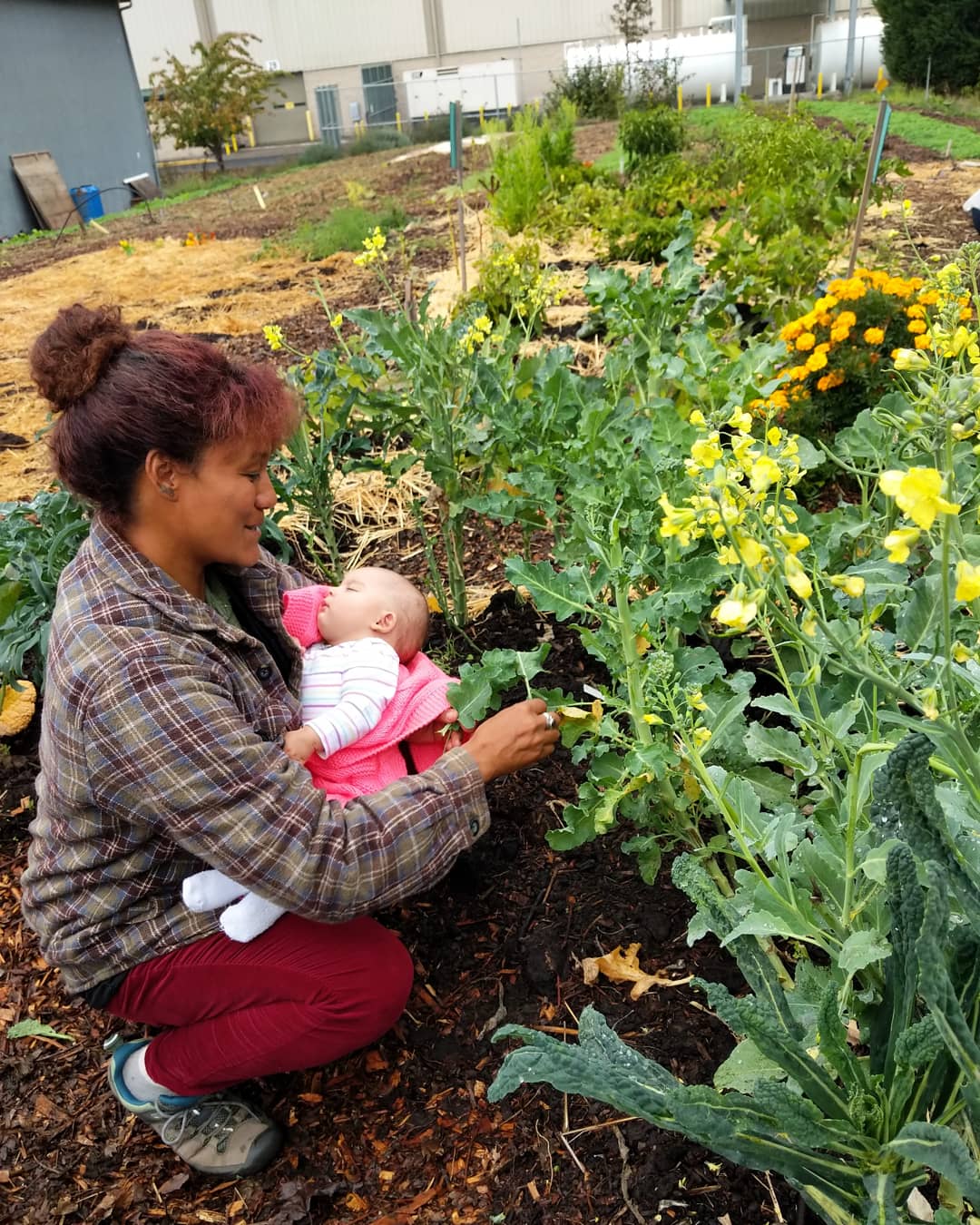 Connecting the Birth World to the Earth World