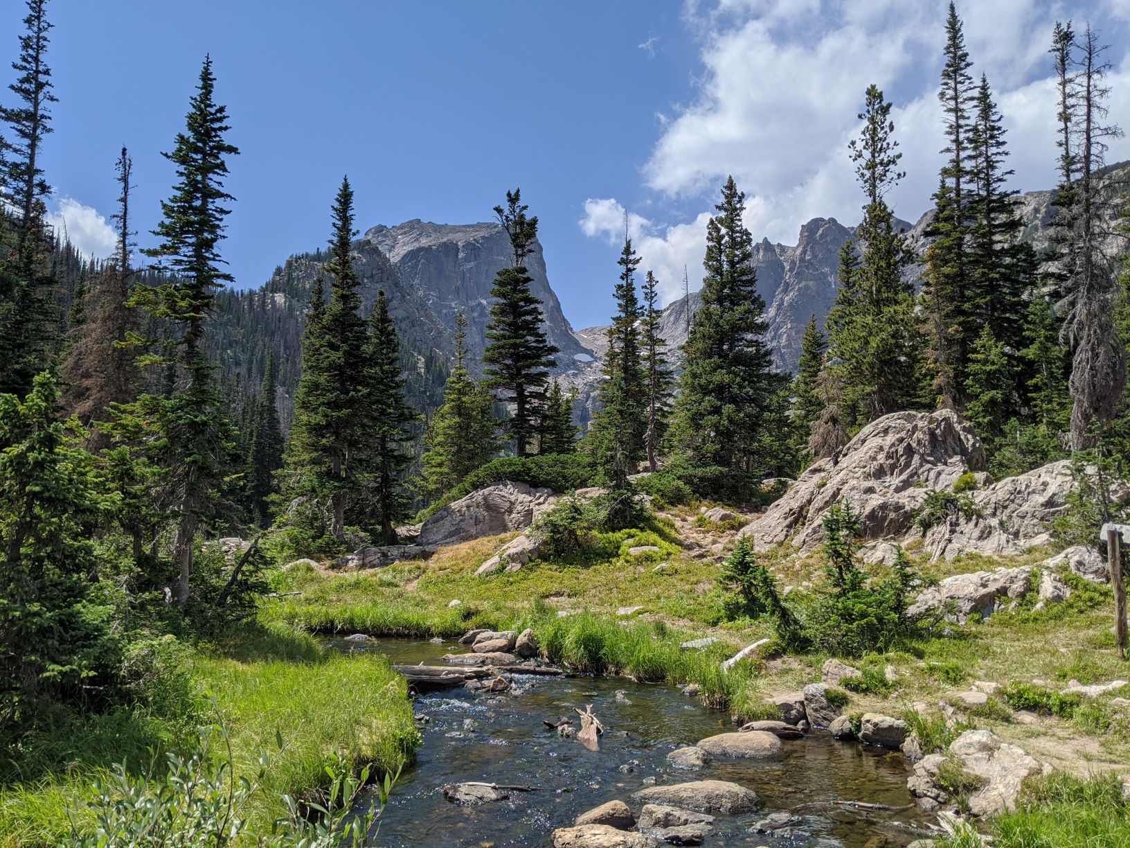 Community Forest Webinar Series