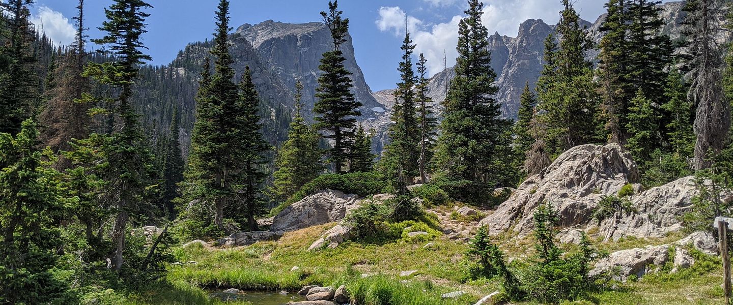 Fortifying Our Forests