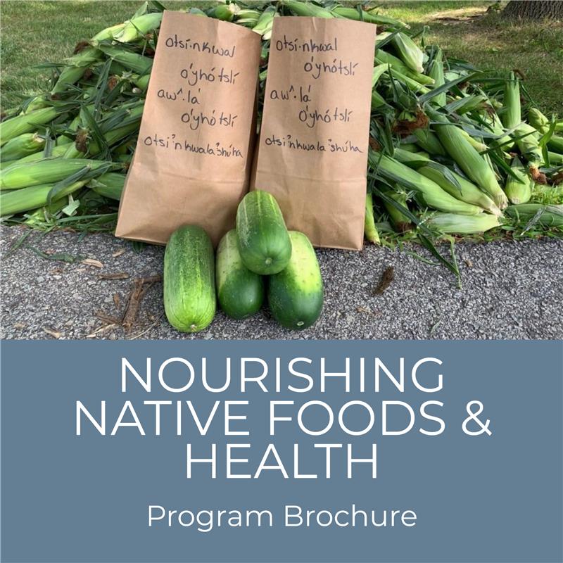 Nourishing Native Foods & Health Program Brochure