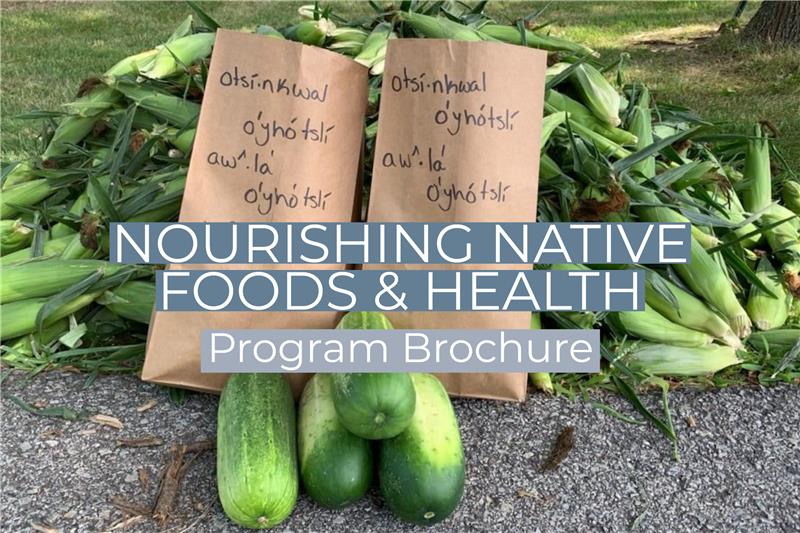 Nourishing Native Foods & Health Program Brochure