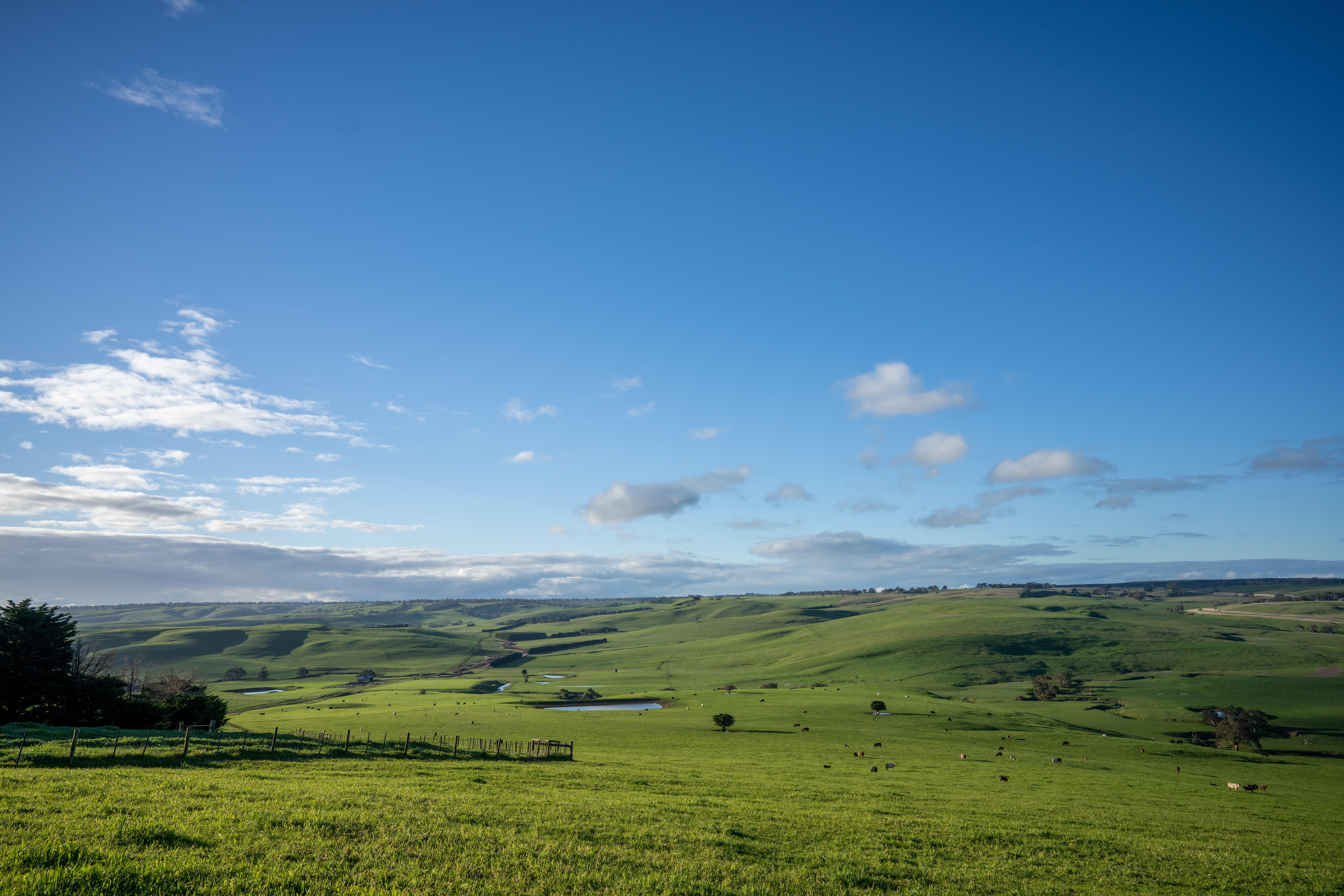 Advancing Agribusiness and Ecological Stewardship in the Southwest