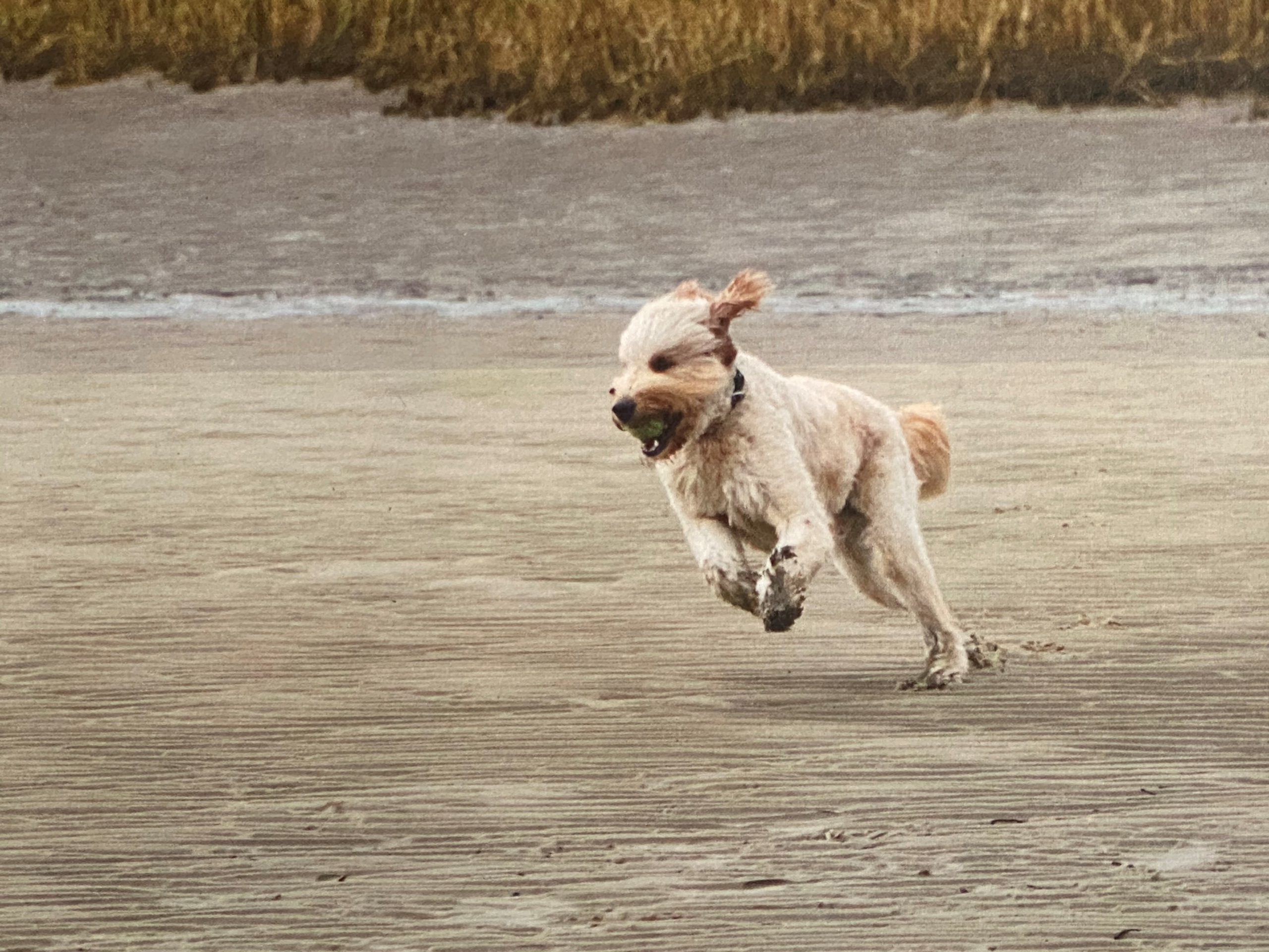 Inspiring a More Just World