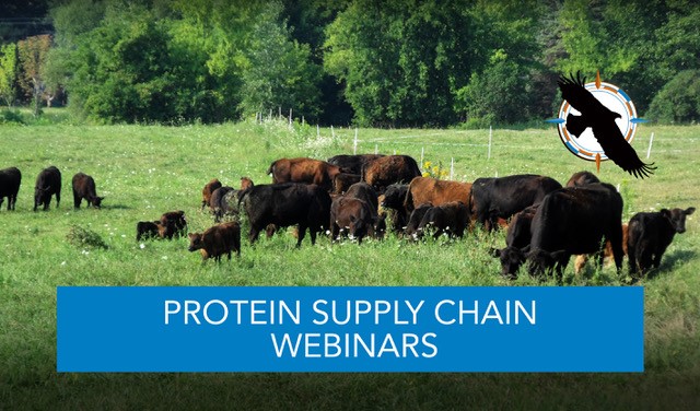 Protein Supply Chain Webinars