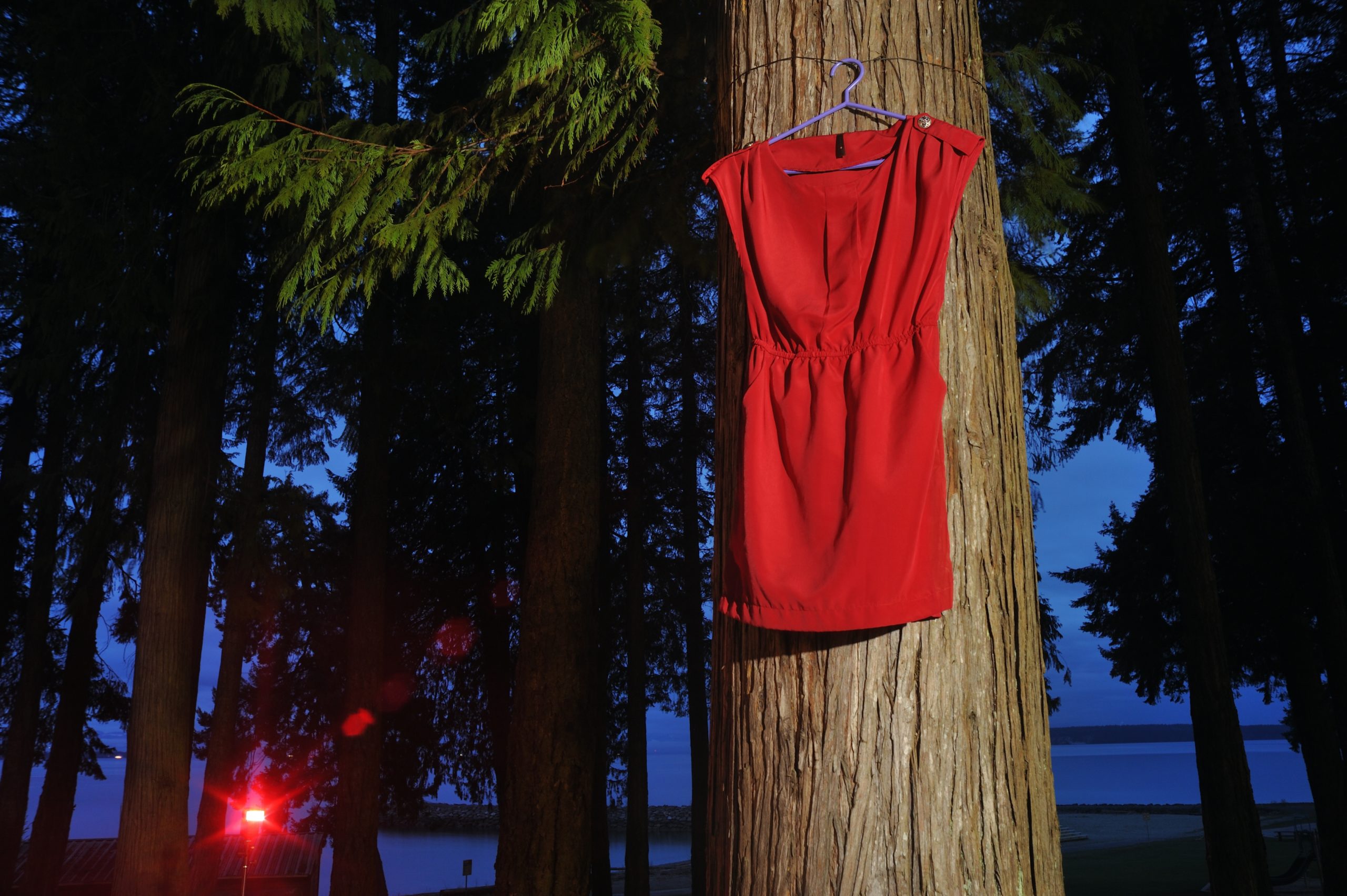 National Week of Action for Missing and Murdered Indigenous Women and Girls, April 29 to May 5