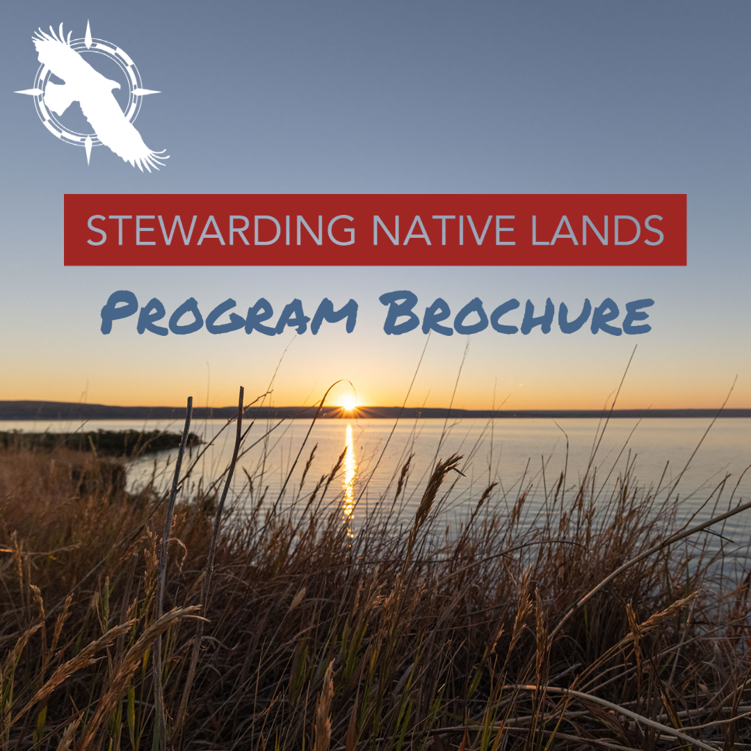 Stewarding Native Lands Brochure