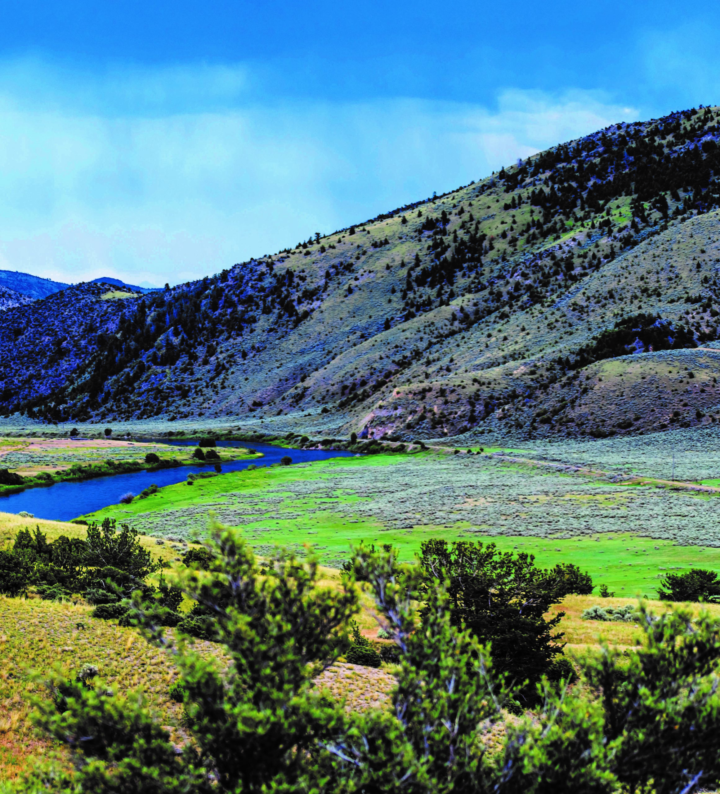 Supporting Native Ecological Stewardship and Land Protection