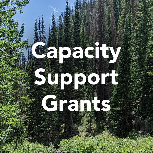 Fortifying our Forests | First Nations Development Institute