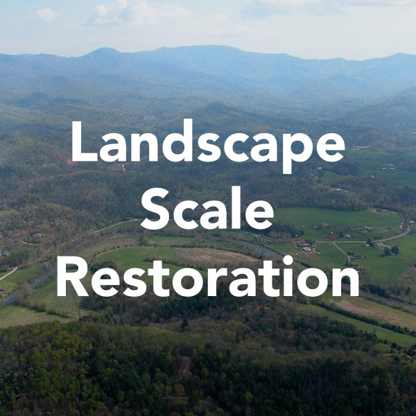 Fortifying our Forests | First Nations Development Institute