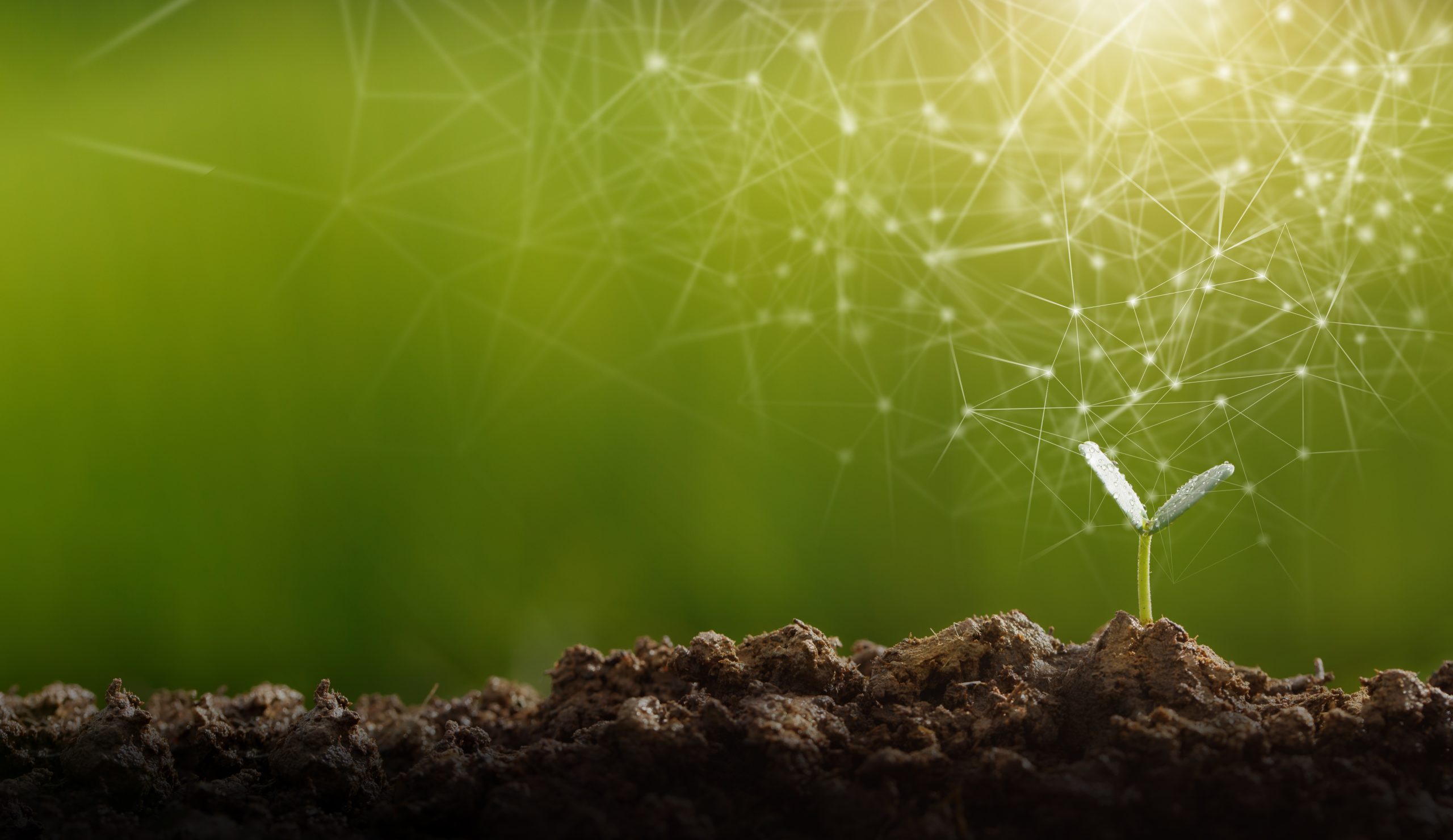 Advancing Native Ecological Stewardship