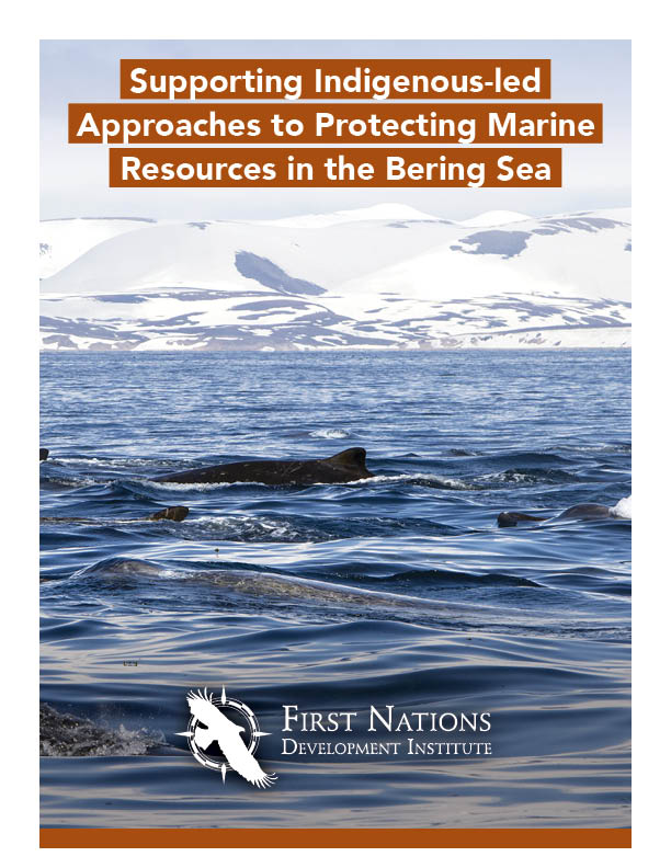 Supporting Indigenous-led Approaches to Protecting Marine Resources in the Bering Sea