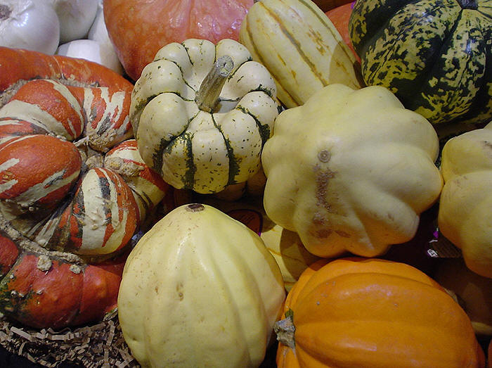 Native American Food Sovereignty Initiative