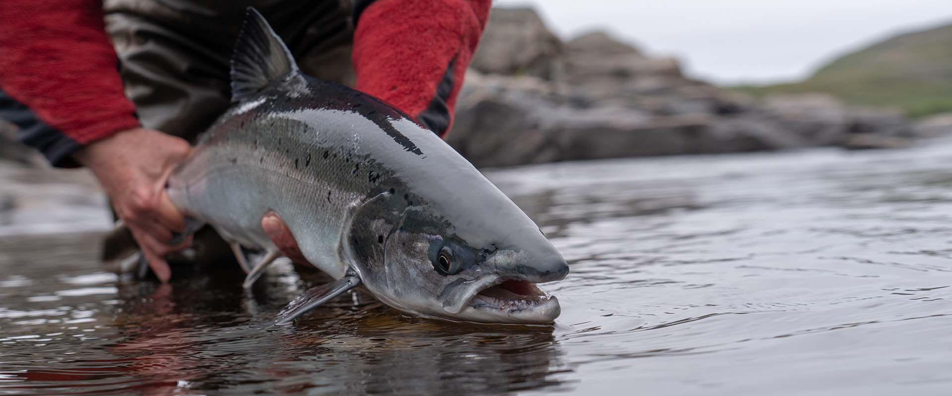 Distinguishing between Native Food Sovereignty and Native Food Security in Indian Country
