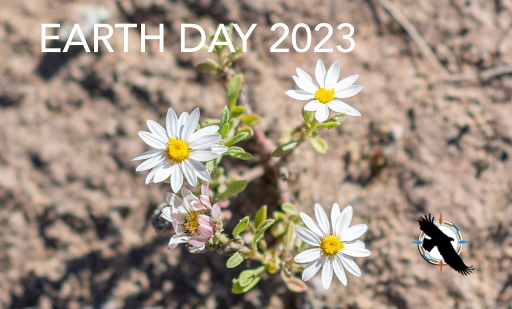 Every Day is Earth Day – Join us in Calling for Native-Led Solutions to Climate Change
