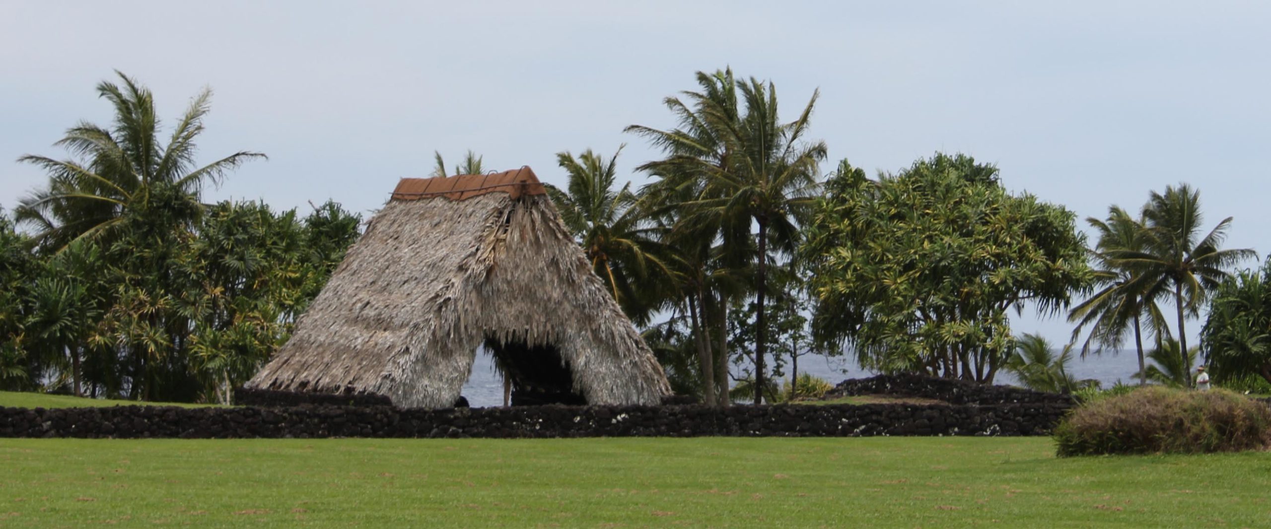 Elevating Community-Led Climate Action and Environmental Justice