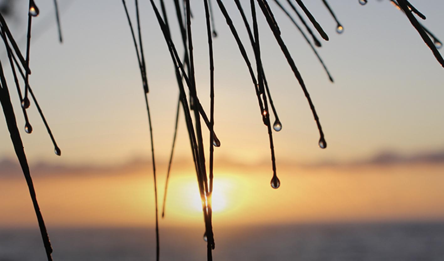 Climate Leadership Across Indian Country: A Summary of Regional Climate Change Dialogues