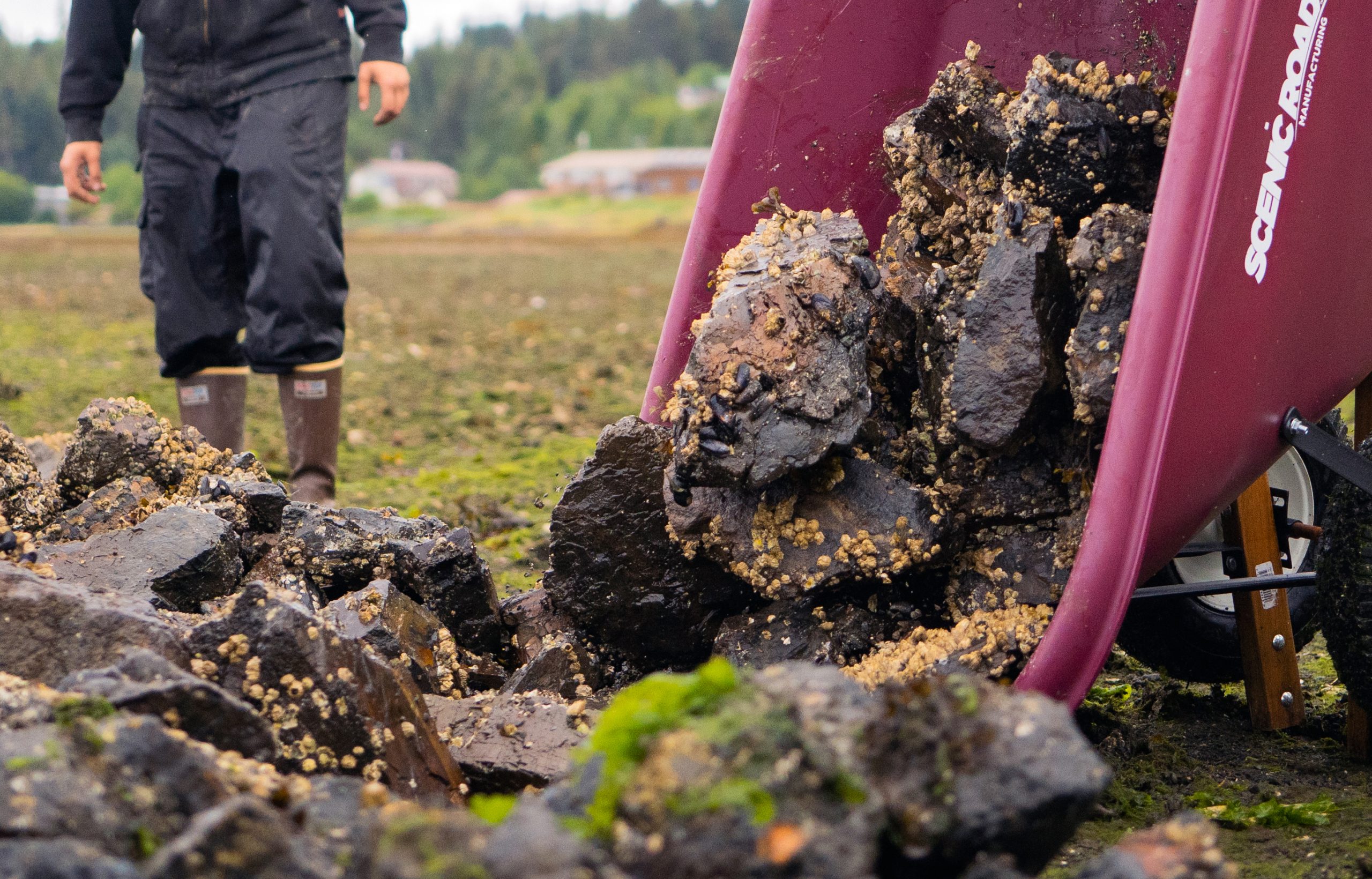 Advancing Tribal Nature-Based Solutions