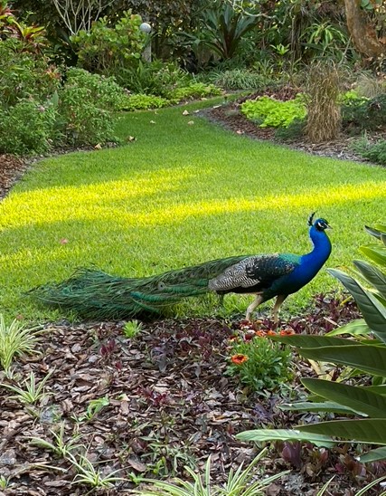 ‘Stay Curious About the World!’