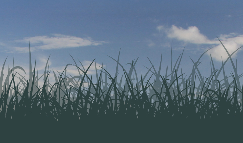 Promoting Tribal Co-Stewardship for Grasslands Health