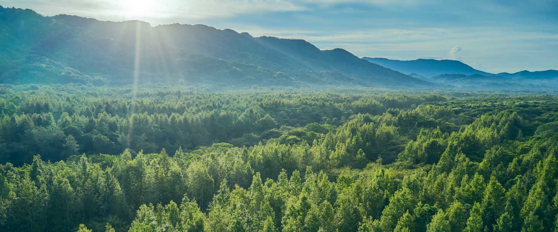 USDA Forest Service Community Forest And Open Space Conservation Program: Tribal User Guide