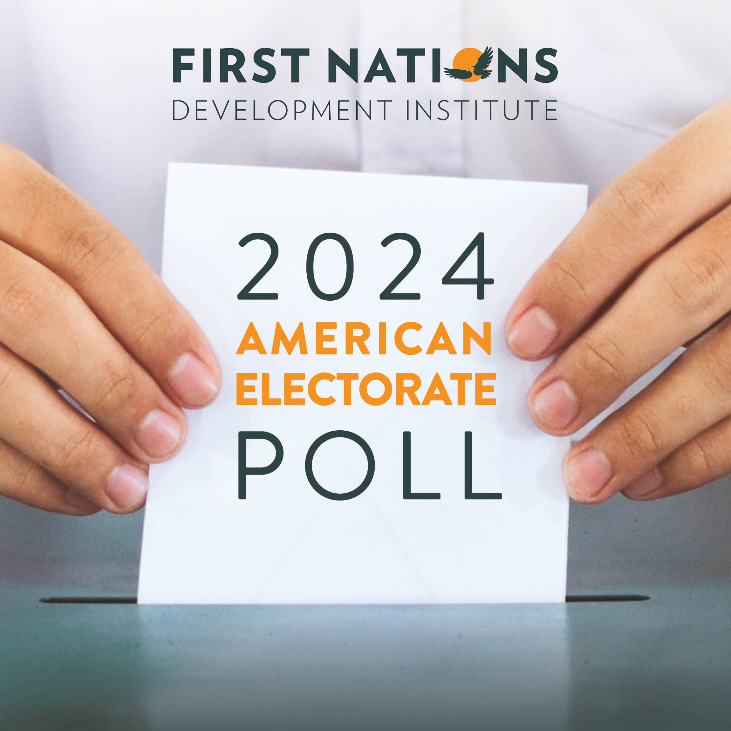 2024 American Electorate Poll