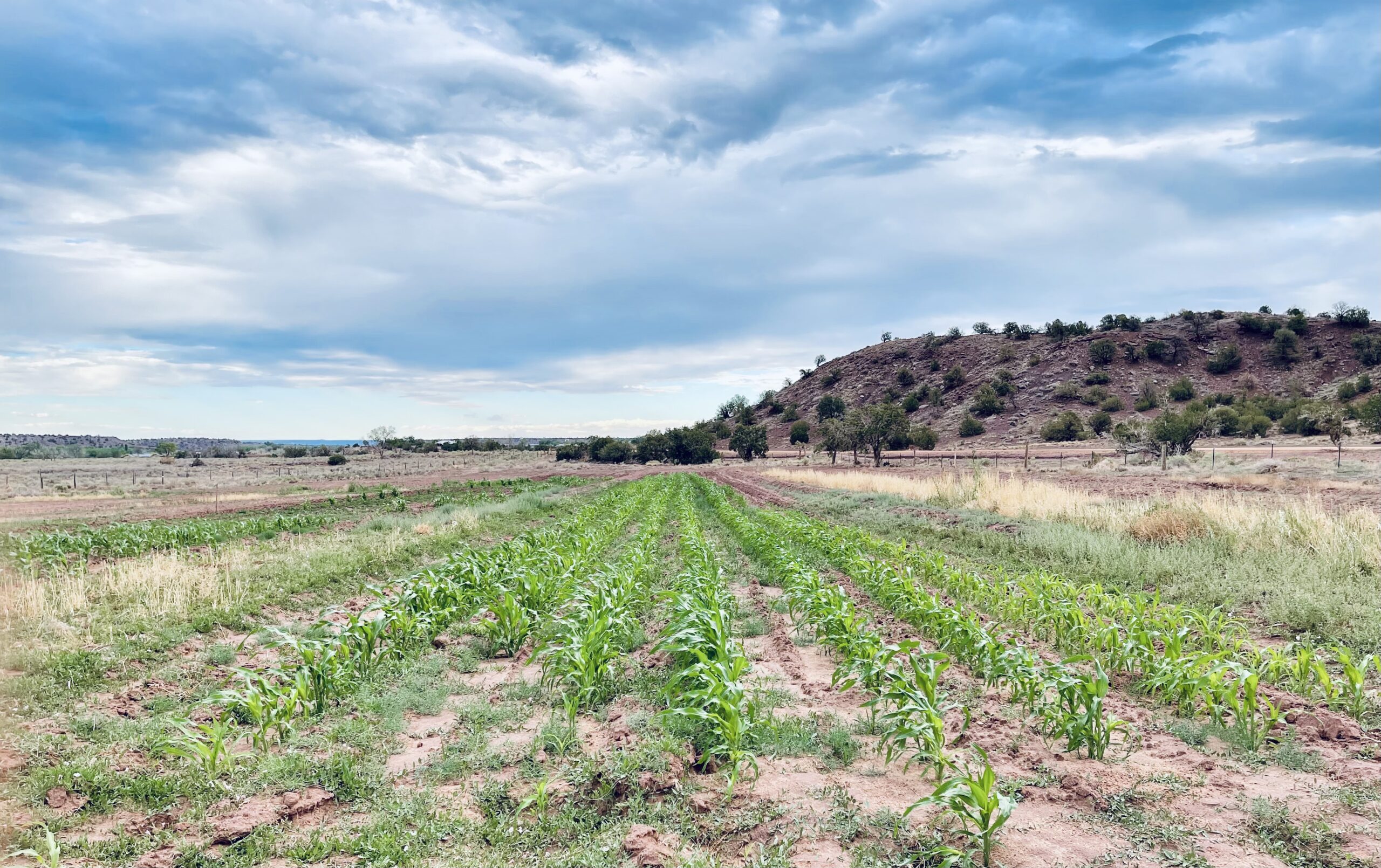The Business of Cultural Foodways