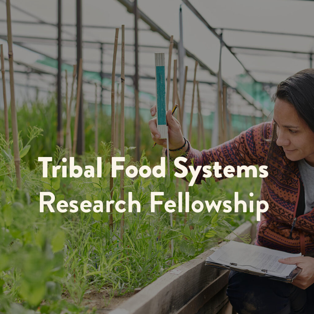 Tribal Food Systems Research Fellowship | First Nations Development ...