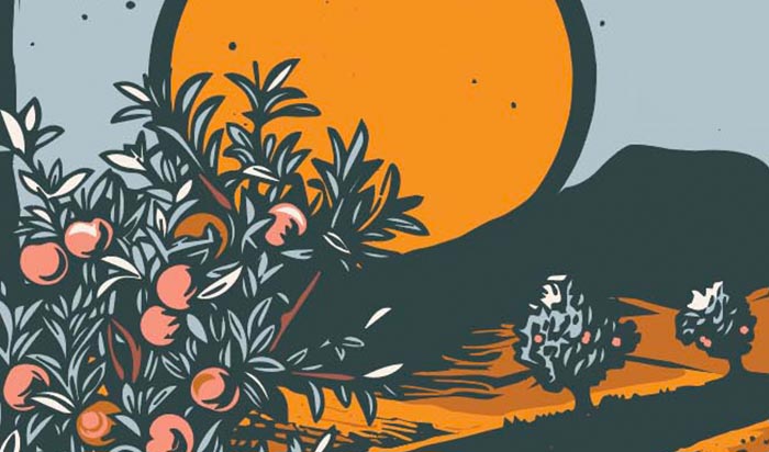 Native Farmer and Rancher Apprenticeship Network