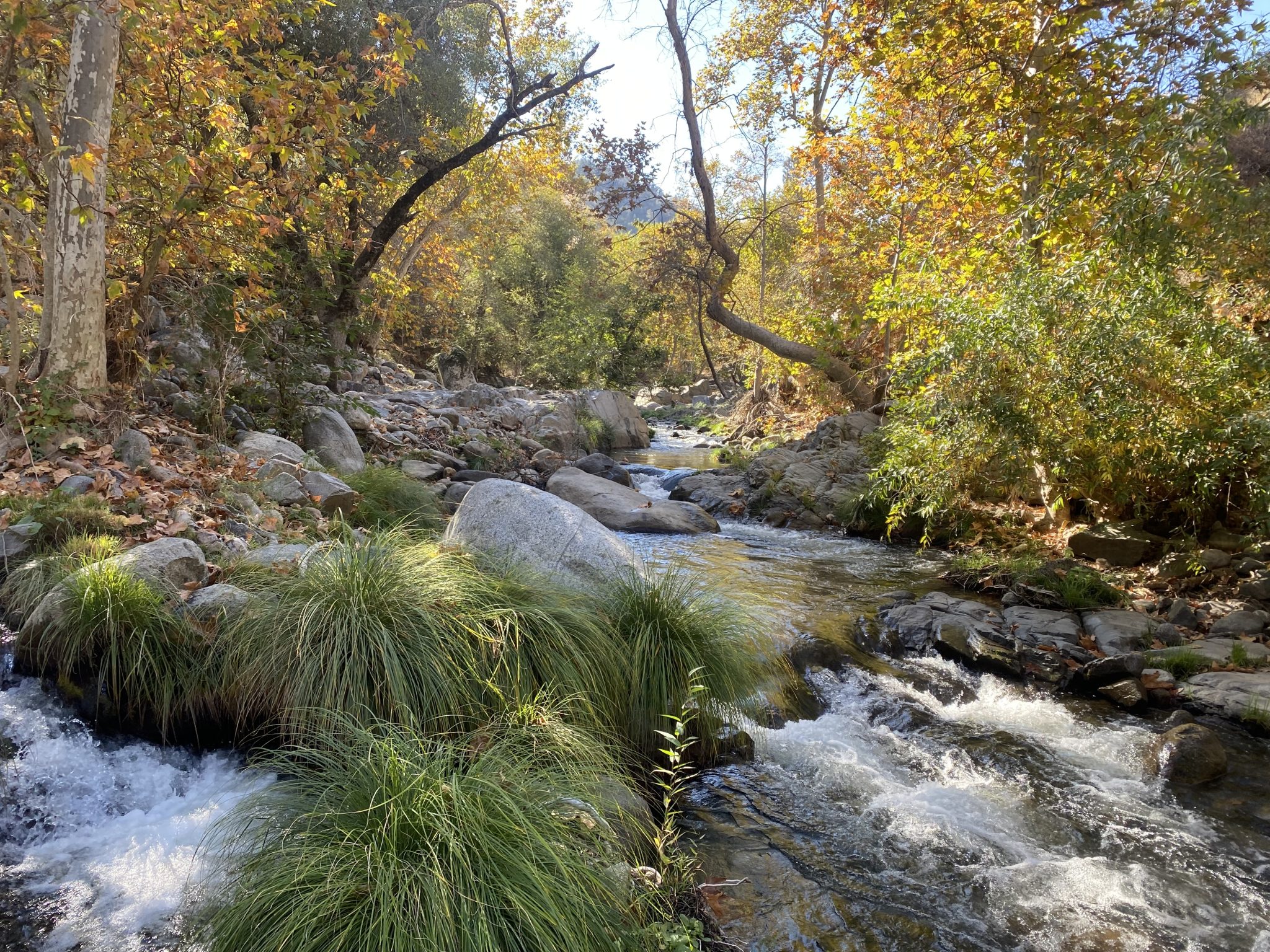 Rooted in Tradition: How the Tule River Indian Tribe is Standing Strong Against Climate Change