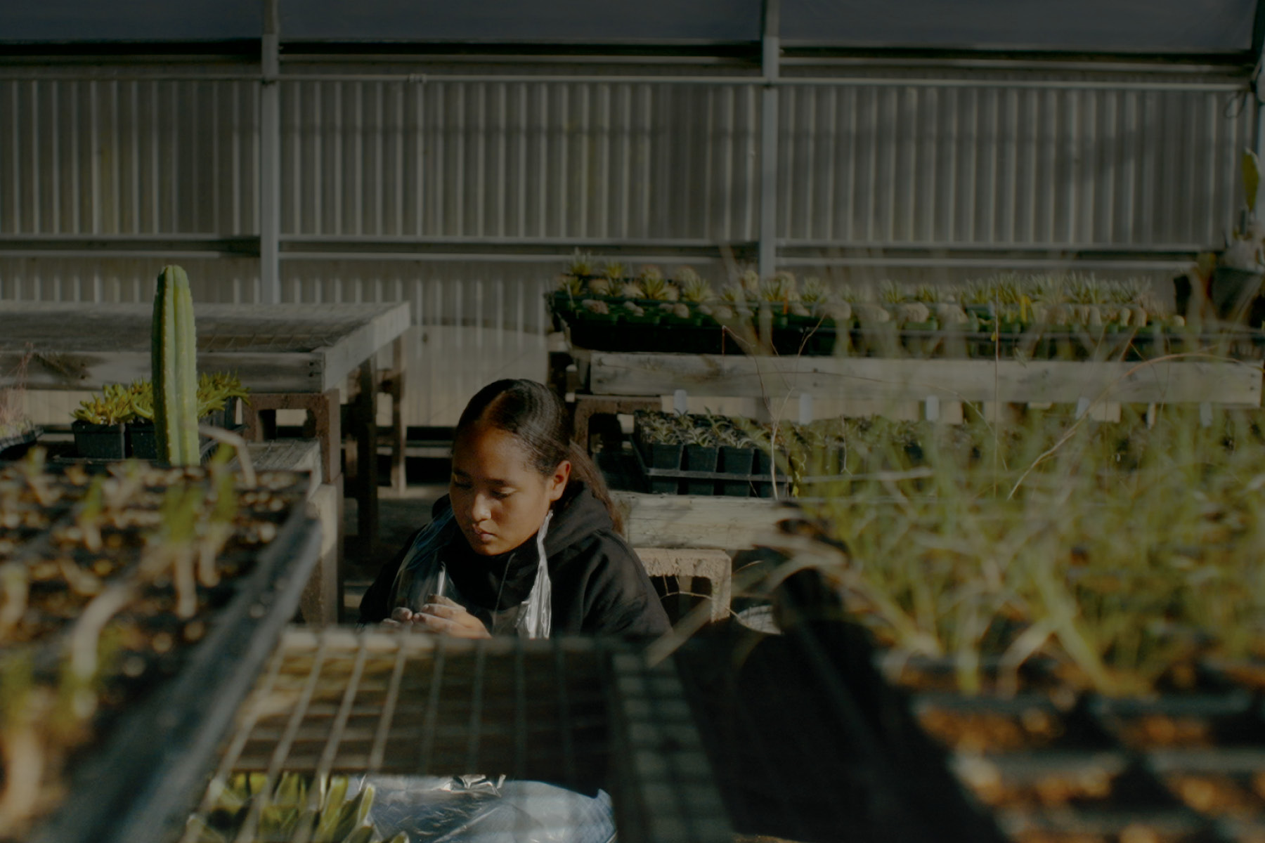 Nurturing Future Ancestors