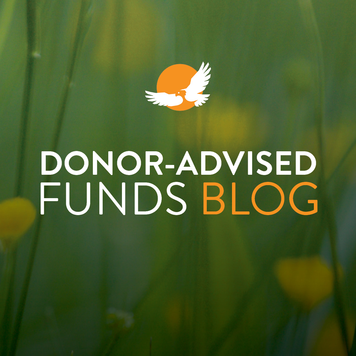 Why Give Through a Donor-Advised Fund?