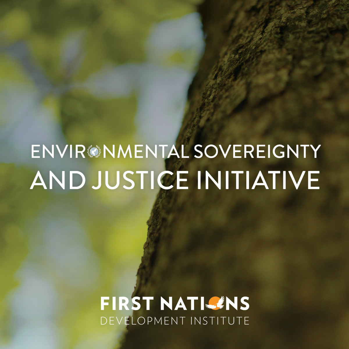 Environmental Sovereignty and Justice