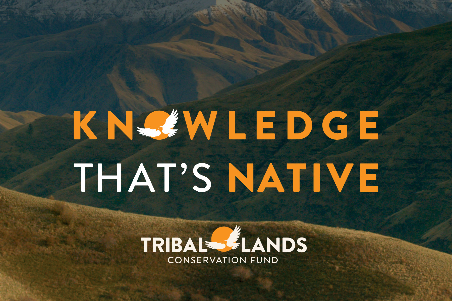 TLC Fund: 2023 Campaign