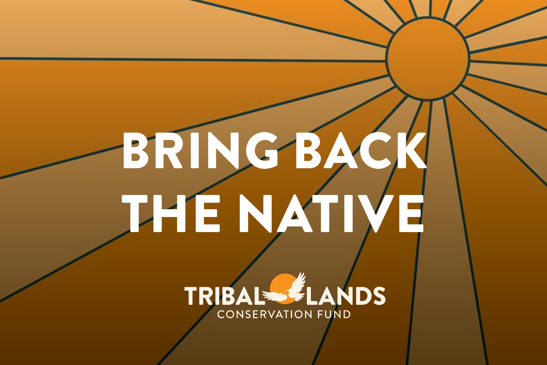 TLC Fund: 2024 Campaign